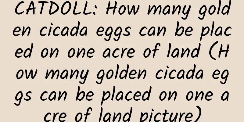 CATDOLL: How many golden cicada eggs can be placed on one acre of land (How many golden cicada eggs can be placed on one acre of land picture)