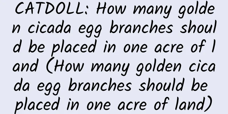 CATDOLL: How many golden cicada egg branches should be placed in one acre of land (How many golden cicada egg branches should be placed in one acre of land)