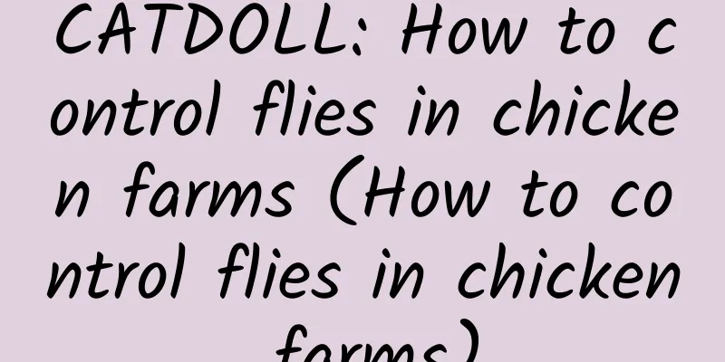 CATDOLL: How to control flies in chicken farms (How to control flies in chicken farms)