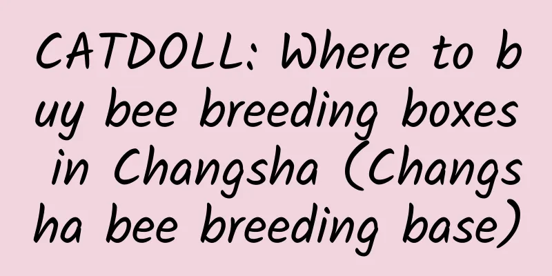 CATDOLL: Where to buy bee breeding boxes in Changsha (Changsha bee breeding base)