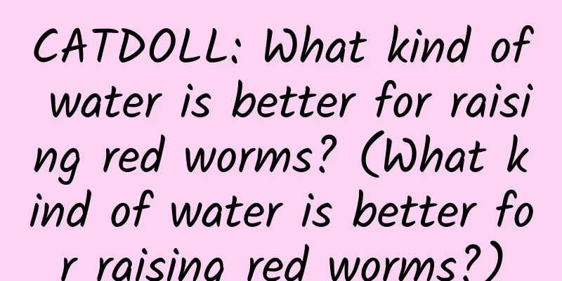CATDOLL: What kind of water is better for raising red worms? (What kind of water is better for raising red worms?)