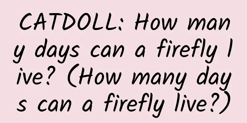 CATDOLL: How many days can a firefly live? (How many days can a firefly live?)
