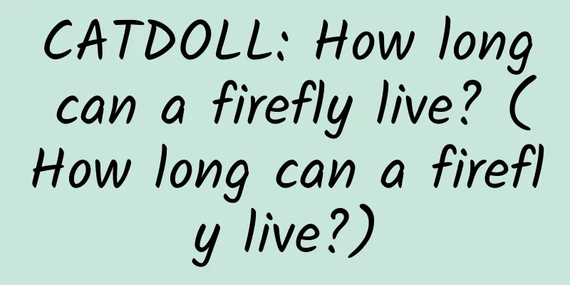 CATDOLL: How long can a firefly live? (How long can a firefly live?)