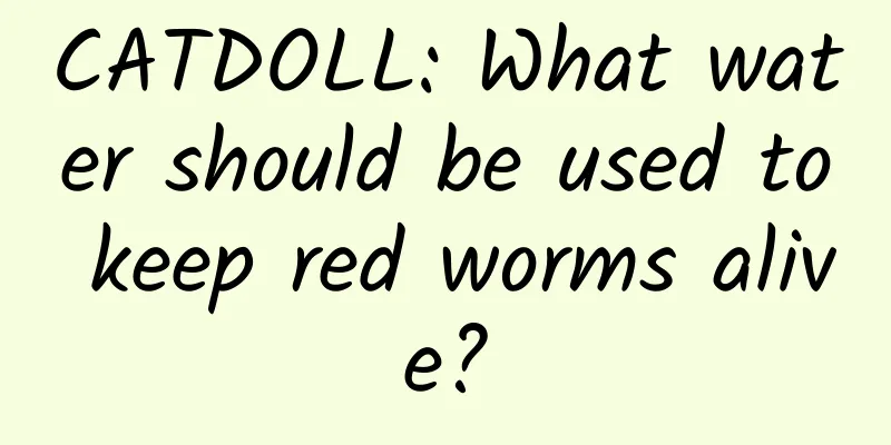 CATDOLL: What water should be used to keep red worms alive?