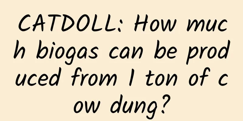 CATDOLL: How much biogas can be produced from 1 ton of cow dung?