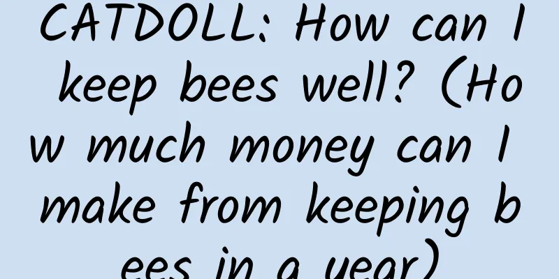 CATDOLL: How can I keep bees well? (How much money can I make from keeping bees in a year)