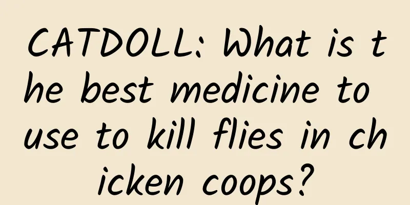 CATDOLL: What is the best medicine to use to kill flies in chicken coops?
