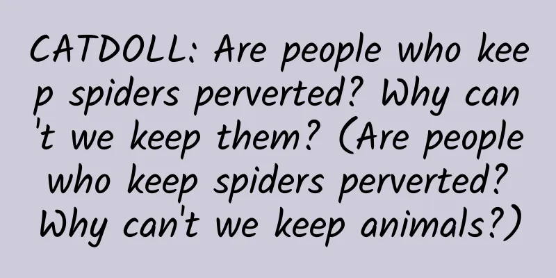 CATDOLL: Are people who keep spiders perverted? Why can't we keep them? (Are people who keep spiders perverted? Why can't we keep animals?)