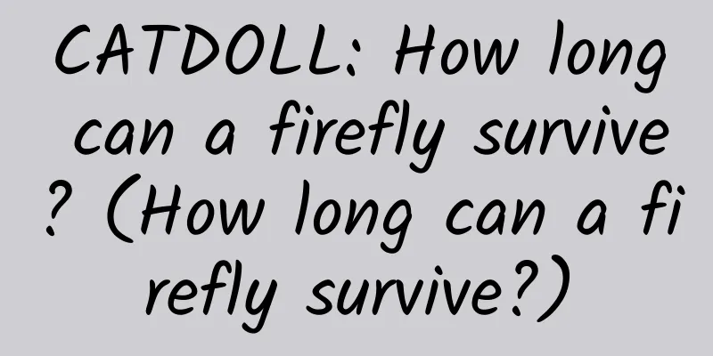 CATDOLL: How long can a firefly survive? (How long can a firefly survive?)