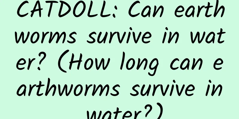 CATDOLL: Can earthworms survive in water? (How long can earthworms survive in water?)
