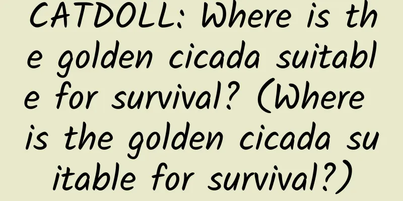 CATDOLL: Where is the golden cicada suitable for survival? (Where is the golden cicada suitable for survival?)