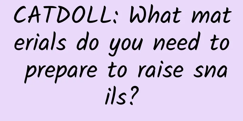 CATDOLL: What materials do you need to prepare to raise snails?