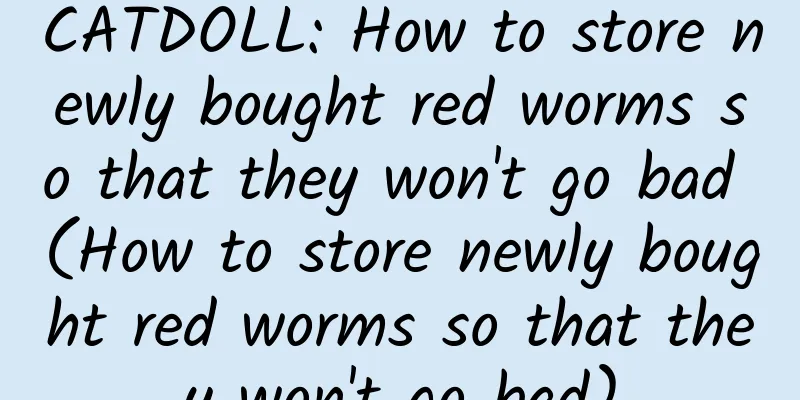 CATDOLL: How to store newly bought red worms so that they won't go bad (How to store newly bought red worms so that they won't go bad)
