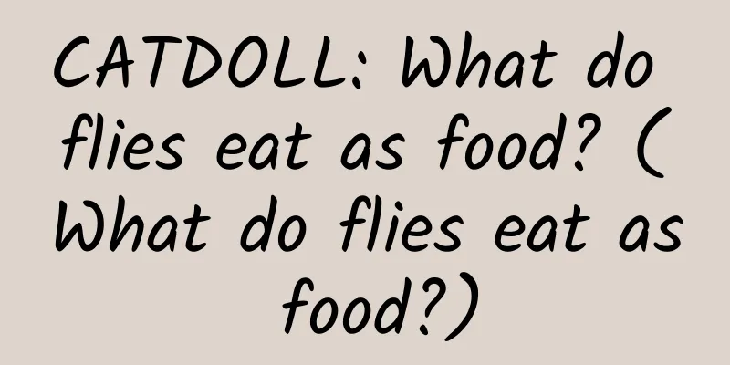 CATDOLL: What do flies eat as food? (What do flies eat as food?)