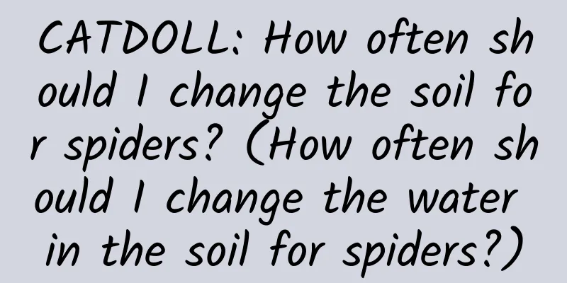 CATDOLL: How often should I change the soil for spiders? (How often should I change the water in the soil for spiders?)