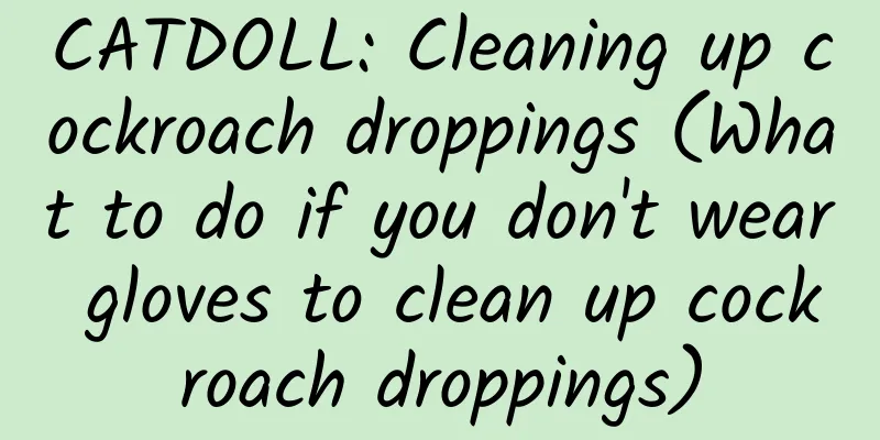 CATDOLL: Cleaning up cockroach droppings (What to do if you don't wear gloves to clean up cockroach droppings)