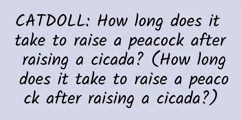 CATDOLL: How long does it take to raise a peacock after raising a cicada? (How long does it take to raise a peacock after raising a cicada?)