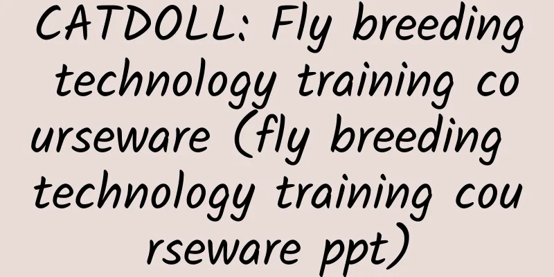 CATDOLL: Fly breeding technology training courseware (fly breeding technology training courseware ppt)