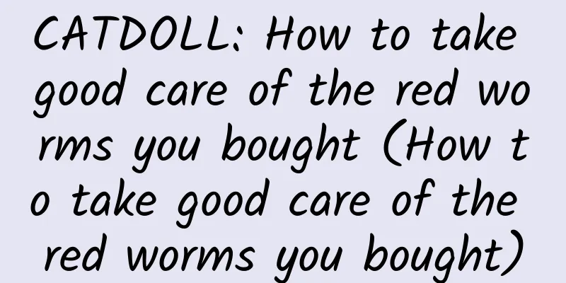 CATDOLL: How to take good care of the red worms you bought (How to take good care of the red worms you bought)