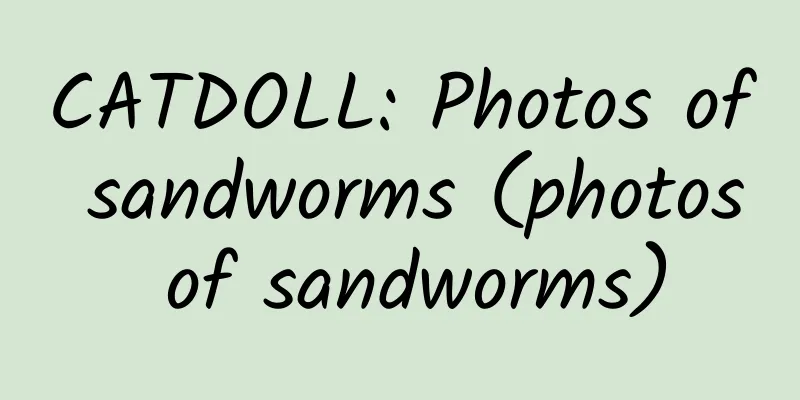 CATDOLL: Photos of sandworms (photos of sandworms)
