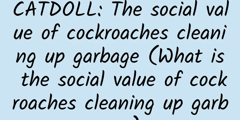 CATDOLL: The social value of cockroaches cleaning up garbage (What is the social value of cockroaches cleaning up garbage)