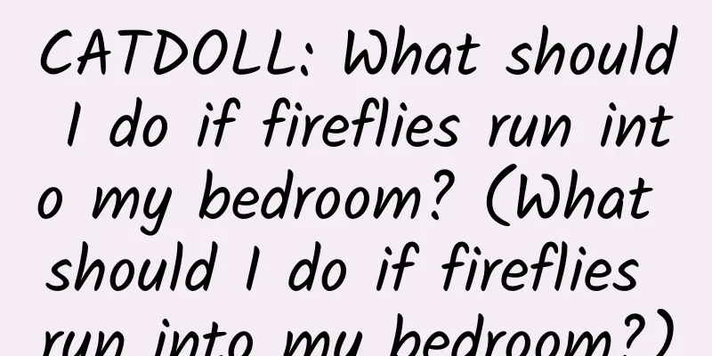 CATDOLL: What should I do if fireflies run into my bedroom? (What should I do if fireflies run into my bedroom?)
