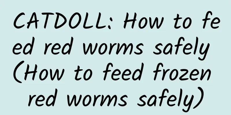 CATDOLL: How to feed red worms safely (How to feed frozen red worms safely)