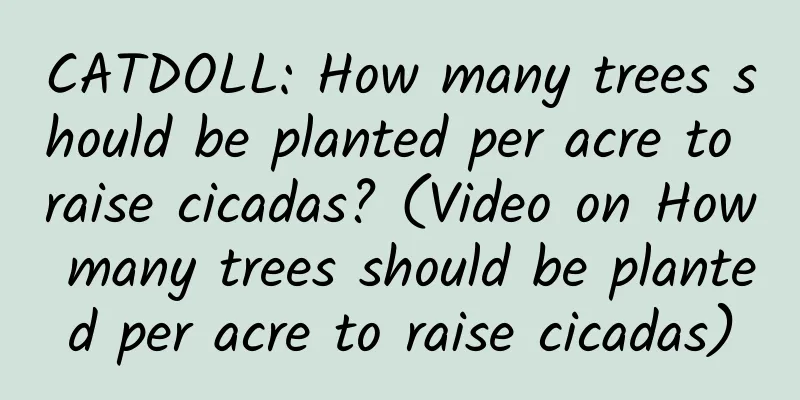 CATDOLL: How many trees should be planted per acre to raise cicadas? (Video on How many trees should be planted per acre to raise cicadas)