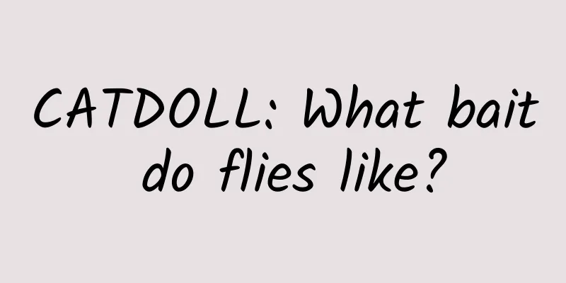 CATDOLL: What bait do flies like?