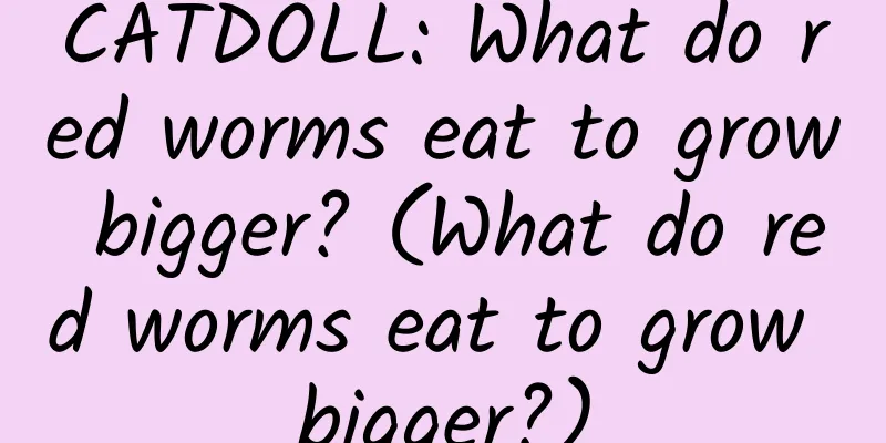 CATDOLL: What do red worms eat to grow bigger? (What do red worms eat to grow bigger?)