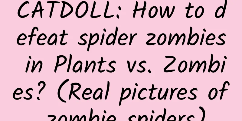 CATDOLL: How to defeat spider zombies in Plants vs. Zombies? (Real pictures of zombie spiders)