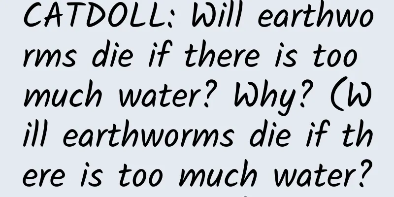 CATDOLL: Will earthworms die if there is too much water? Why? (Will earthworms die if there is too much water? Why?)