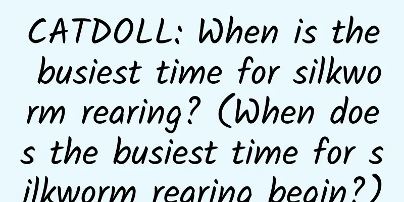 CATDOLL: When is the busiest time for silkworm rearing? (When does the busiest time for silkworm rearing begin?)