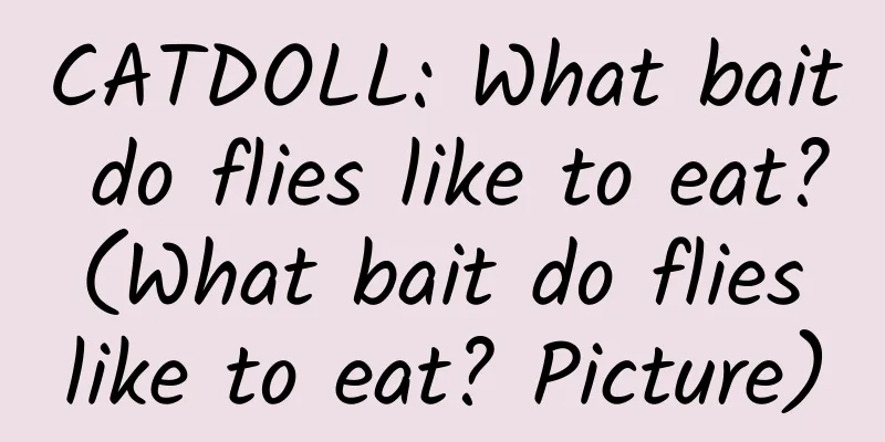 CATDOLL: What bait do flies like to eat? (What bait do flies like to eat? Picture)
