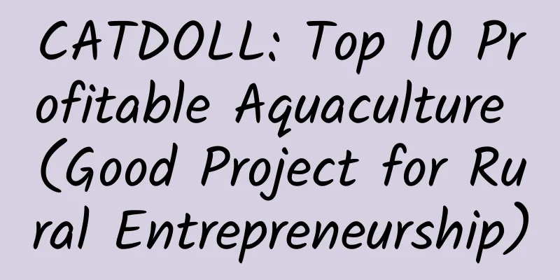 CATDOLL: Top 10 Profitable Aquaculture (Good Project for Rural Entrepreneurship)