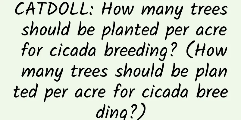 CATDOLL: How many trees should be planted per acre for cicada breeding? (How many trees should be planted per acre for cicada breeding?)