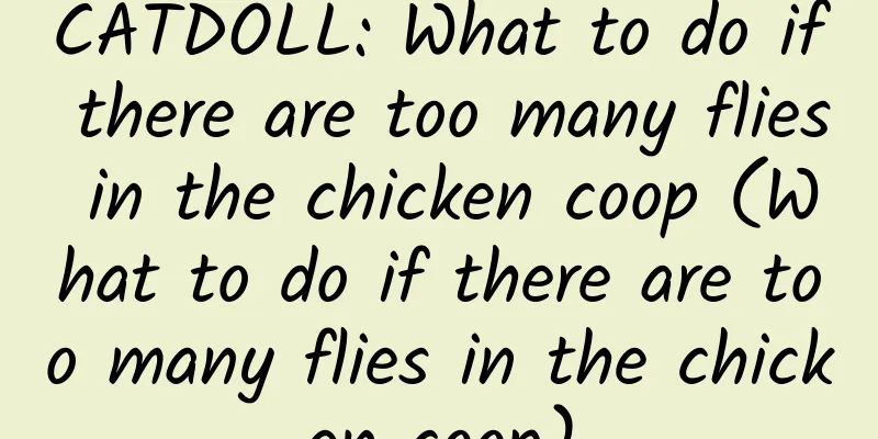 CATDOLL: What to do if there are too many flies in the chicken coop (What to do if there are too many flies in the chicken coop)