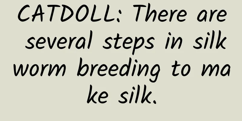 CATDOLL: There are several steps in silkworm breeding to make silk.