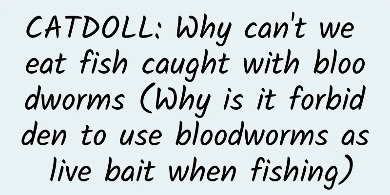 CATDOLL: Why can't we eat fish caught with bloodworms (Why is it forbidden to use bloodworms as live bait when fishing)