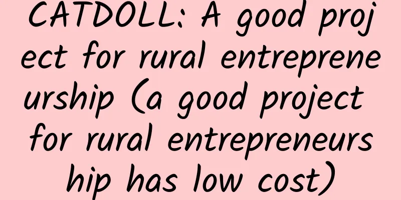 CATDOLL: A good project for rural entrepreneurship (a good project for rural entrepreneurship has low cost)