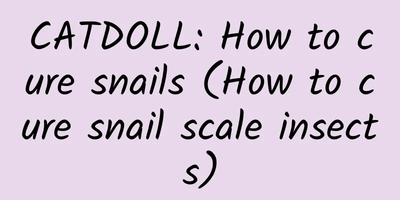 CATDOLL: How to cure snails (How to cure snail scale insects)