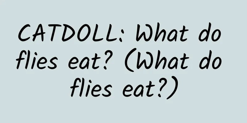 CATDOLL: What do flies eat? (What do flies eat?)