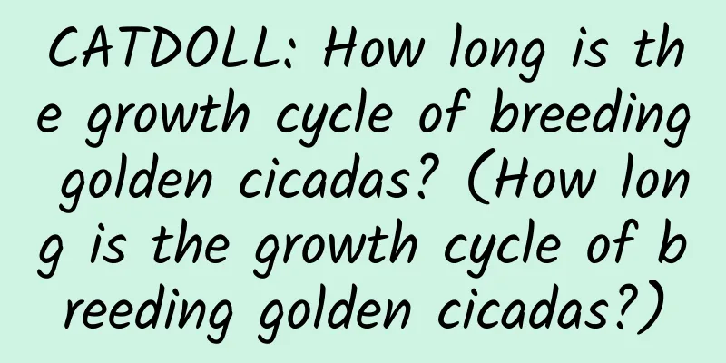 CATDOLL: How long is the growth cycle of breeding golden cicadas? (How long is the growth cycle of breeding golden cicadas?)