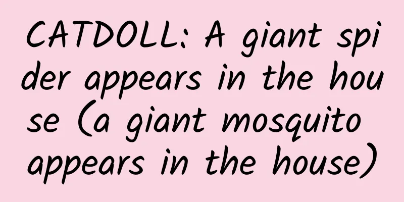CATDOLL: A giant spider appears in the house (a giant mosquito appears in the house)