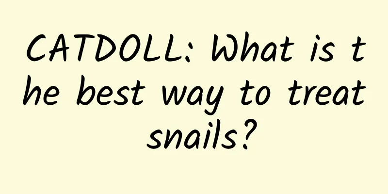 CATDOLL: What is the best way to treat snails?