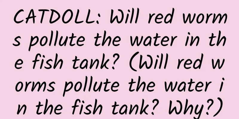 CATDOLL: Will red worms pollute the water in the fish tank? (Will red worms pollute the water in the fish tank? Why?)