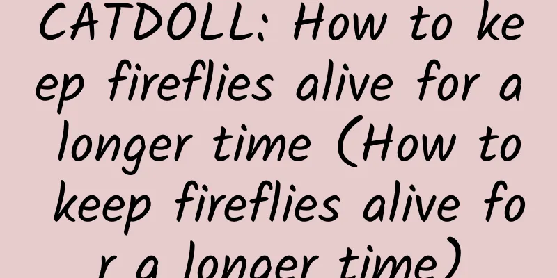 CATDOLL: How to keep fireflies alive for a longer time (How to keep fireflies alive for a longer time)
