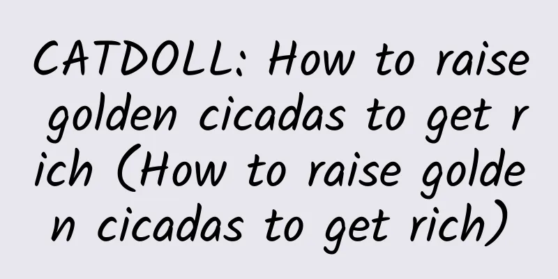 CATDOLL: How to raise golden cicadas to get rich (How to raise golden cicadas to get rich)
