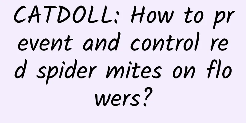 CATDOLL: How to prevent and control red spider mites on flowers?