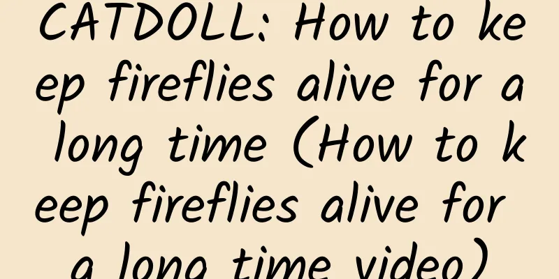 CATDOLL: How to keep fireflies alive for a long time (How to keep fireflies alive for a long time video)